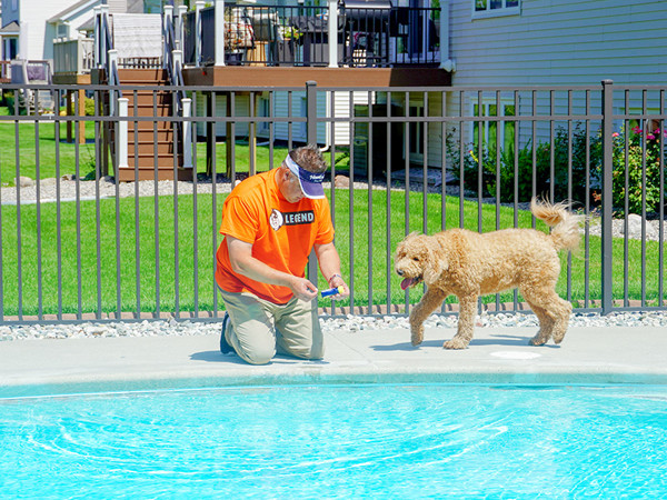 How to Become a Pool Designer Career Salary Information How to Become a Pool Designer Career Salary Information